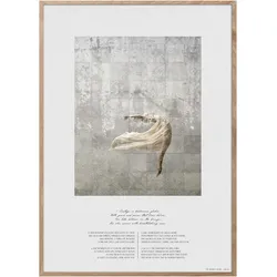 ChiCura, Bilder, Ballerina Poster (70 x 100 cm)