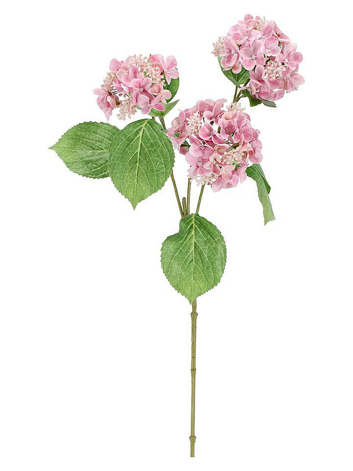 Bizzotto Kunstzweig ''Hydrangea Holga'' in Grün/ Rosa - (L)82 cm - onesize