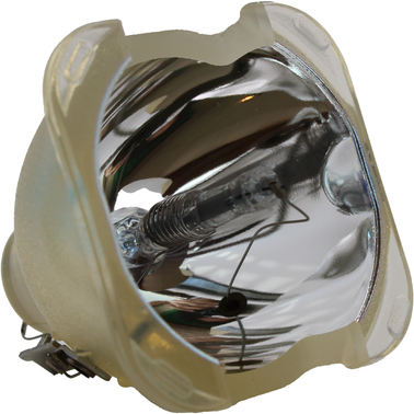 AL™ Series PRJ-RLC-012 Lamp (Bulb Only) for Viewsonic Projectors - 90 Day Warranty