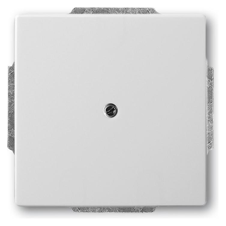 Busch-Jaeger Zentralscheibe (2CKA001710A3751)