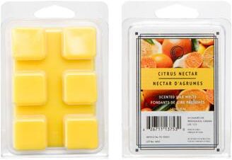 IH Casa Decor 6Pk Scented Wax Melts Citrus Nectar 12/Disp - Set of 12