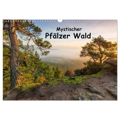 Mystischer Pfälzer Wald (Wandkalender 2027 DIN A3 quer), CALVENDO Monatskalender