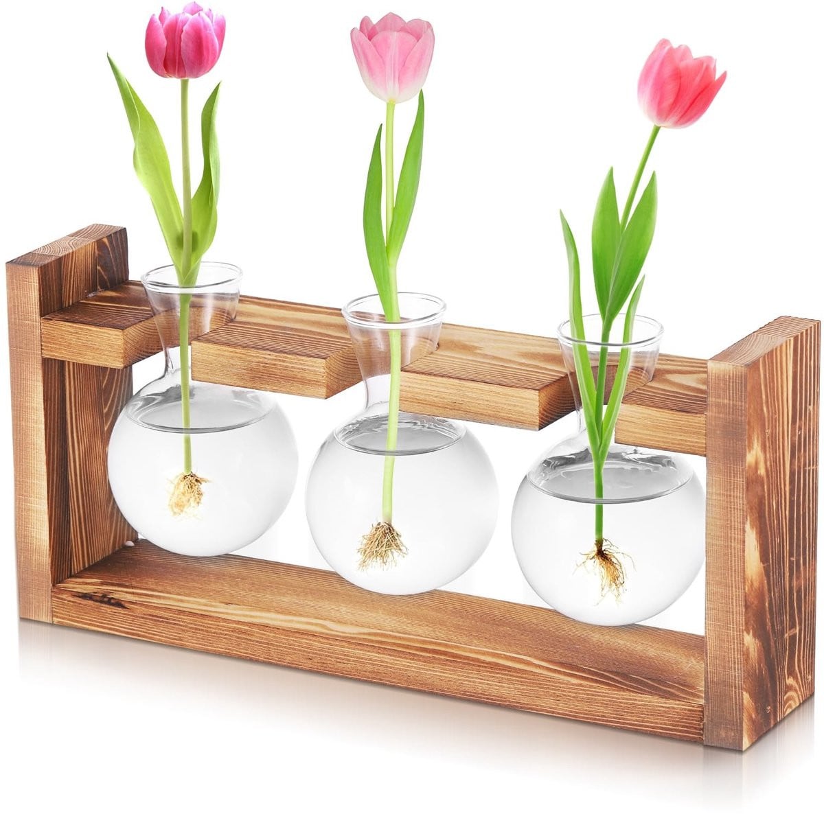 Dailygoods Set van 3 Hydrocultuur vazen met houten sokkel en borosilicaatglas voor plantenterrariums