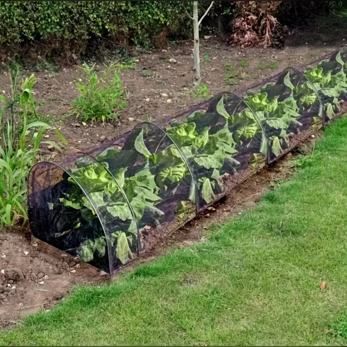 INF Filet d'ombrage noir 300×45×45cm – 35g polyéthylène pour tunnel à arceaux, protection insectes, oiseaux et serpents