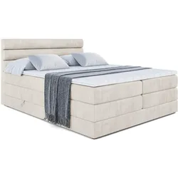 BOXSPRINGBETT CELESTIA KING - 140x200 - H3/H4 - Creme