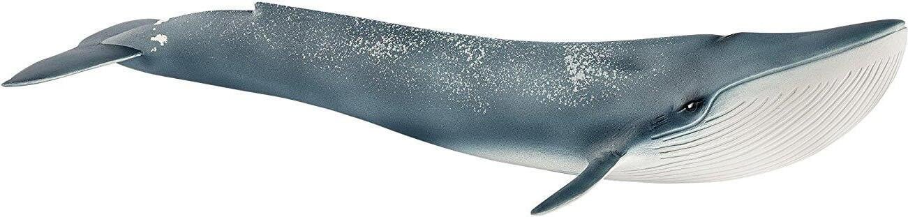 Schleich Blue Whale Figurine 14806 Wild Life Realistic Wild Animal voor kinderen vanaf 5 jaar