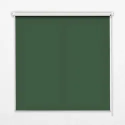 INNENROLLO - Fensterrollo - Rollo - 100x100 cm - Grün