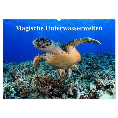Magische Unterwasserwelten (Wandkalender 2026 DIN A2 quer), CALVENDO Monatskalender