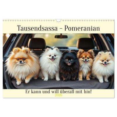 Tausendsassa - Pomeranian (Wandkalender 2026 DIN A3 quer), CALVENDO Monatskalender