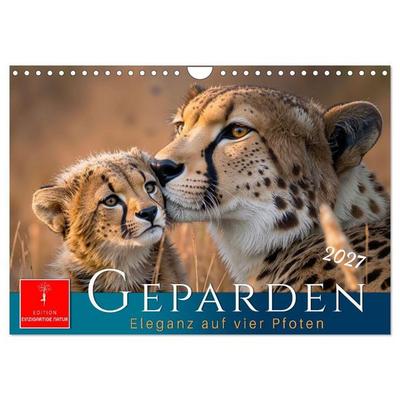 Geparden - Eleganz auf vier Pfoten (Wandkalender 2027 DIN A4 quer), CALVENDO Monatskalender
