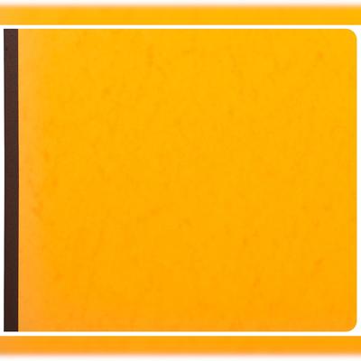 Exacompta 16240E Geschaeftsbuch 27x32 80S - 24 Spalten - Farben sortiert