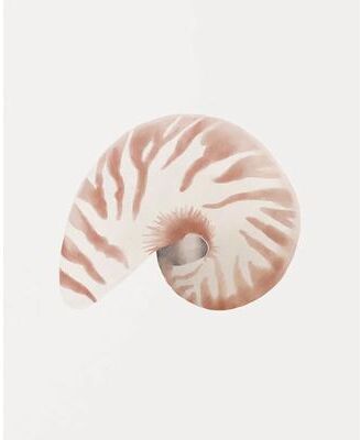Uplift Treasures Watercolor Sea Shell And Starfish Canvas Wall Art 3 1pc 40x50cm No Frame