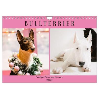 Bullterrier. Freudiges Wesen und Charakter (Wandkalender 2027 DIN A4 quer), CALVENDO Monatskalender