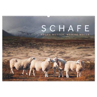 Schafe - Raues Wetter, weiche Wolle (Wandkalender 2026 DIN A2 quer), CALVENDO Monatskalender