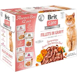 BRIT CARE Katzenfilets in Soße 12x85g
