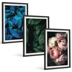 BILDER SET 3er Set - 40x60 cm Schwarzer Rahmen - Blätter, Blüten, verschiedene Farben