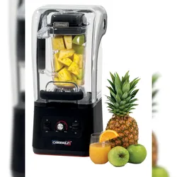Blender mit schalldämmender 2,5L CBC25 Casselin