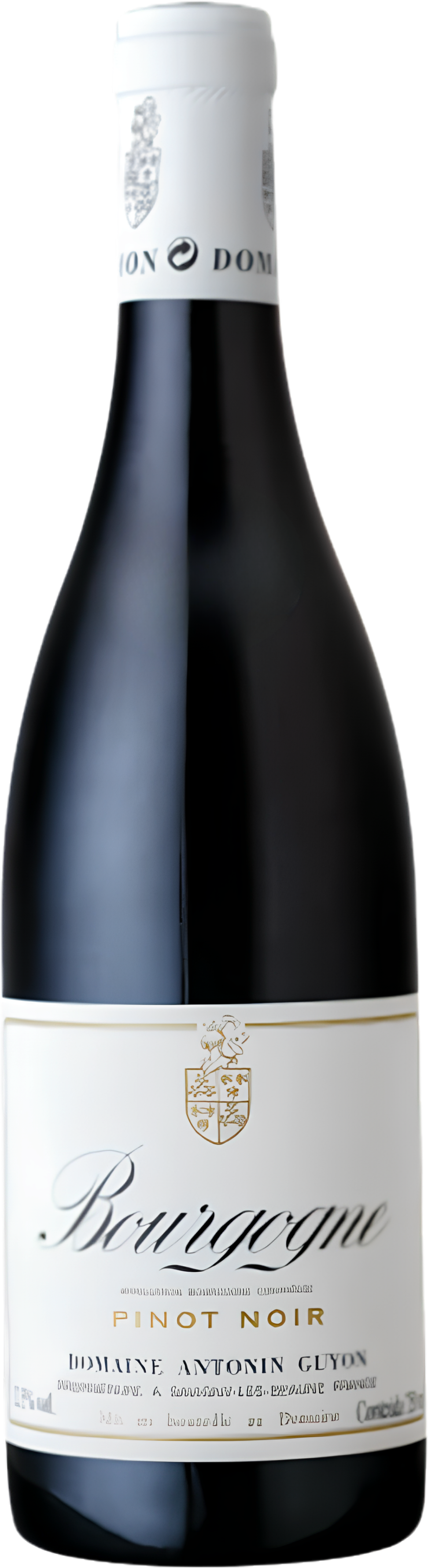 Antonin Guyon Bourgogne Pinot Noir 2023