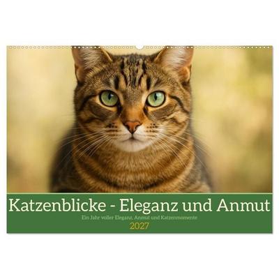 Katzenblicke – Eleganz und Anmut (Wandkalender 2027 DIN A2 quer), CALVENDO Monatskalender