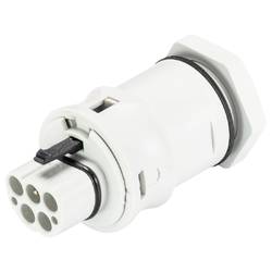 Wieland Electric 96.052.6053.0 Geräteanschluss