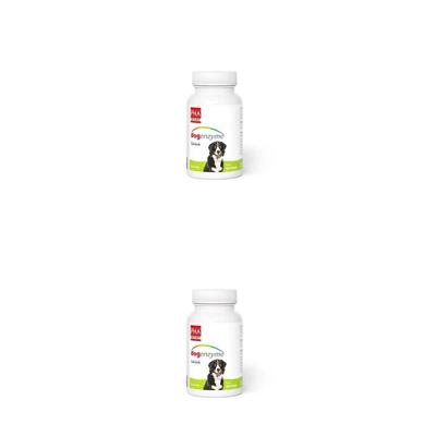 Dogenzyme Gelenk magensaftres.Filmtabletten vet. 2x 2x100 St Filmtabletten magensaftresistent