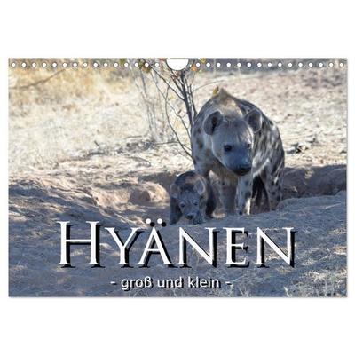 Hyänen - groß und klein (Wandkalender 2026 DIN A4 quer), CALVENDO Monatskalender