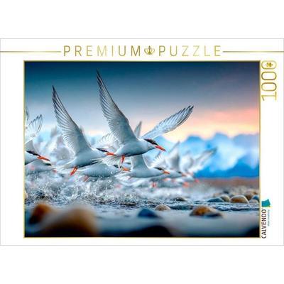 CALVENDO Puzzle Flug an die Küste | 1000 Teile Lege-Größe 64x48cm Foto-Puzzle für glückliche Stunden, Sonstige von , Calvendo Puzzle