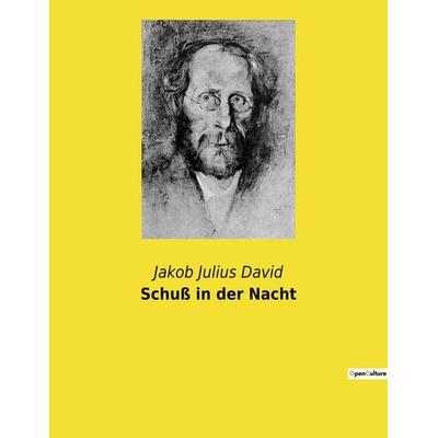 Schuß in der Nacht, Taschenbuch von Jakob Julius David, Culturea, 978-2-38508-417-2