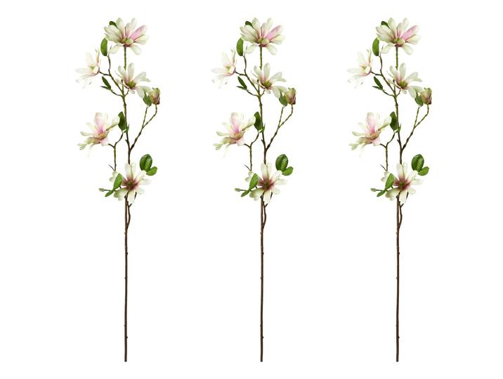 Kunstblume CREATIV GREEN Sternmagnolie , rosa, H:86cm, Kunststoff, Kunstpflanzen, Kunstblume, mit großen Blüten