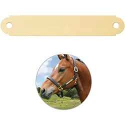 Pferdeschild mit Gravur - mittel (außen gerundet) - für Halfter, Trense, Stall