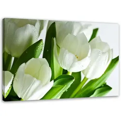 LEINWANDBILD Weiße Tulpen 120x80cm