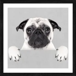 Gerahmtes Bild FUNNY DOG II (BHT 32,50x32,50x1,80 cm) - bunt - BHT 32,50x32,50x1,80 cm