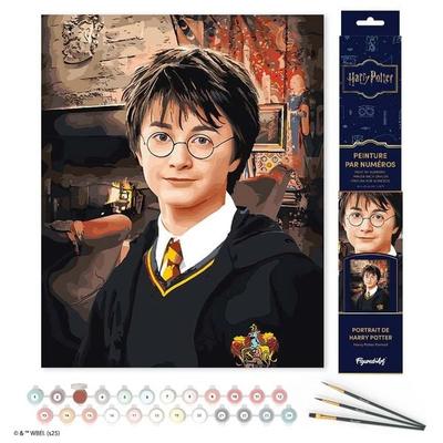 Malen nach Zahlen Porträt von Harry Potter Ohne Keilrahmen