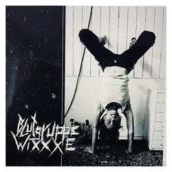 Blutgruppe Wixxxe (+Bonus-7"), Schallplatten