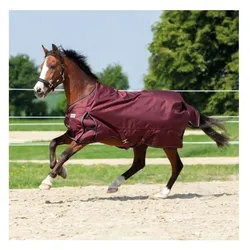 Kavalkade, Pferdedecke, (115 cm)