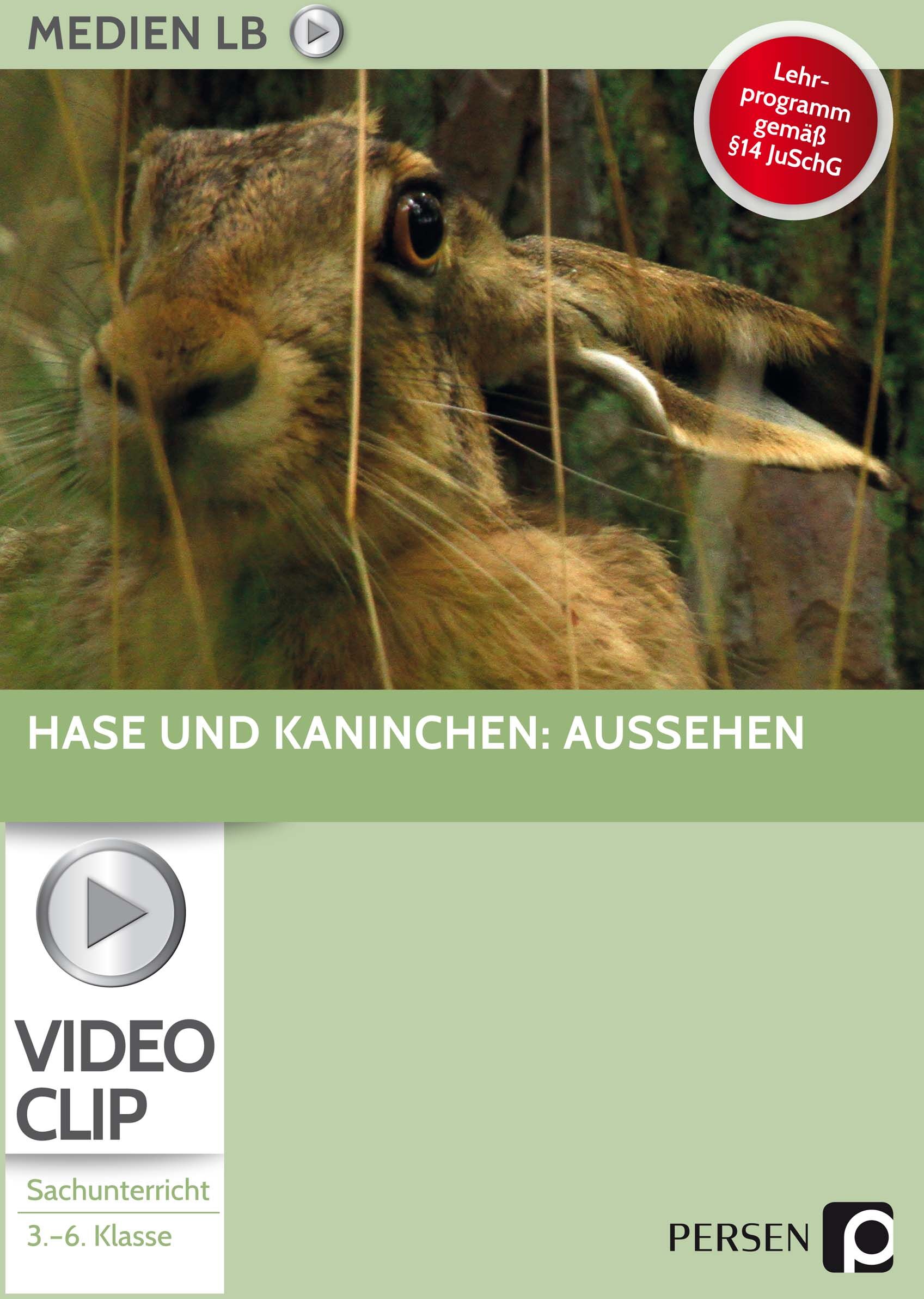 Persen Verlag Hase und Kaninchen: Aussehen