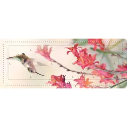 Kleine Wolke Dusch- & Wanneneinlage Kolibri Multicolor Wanneneinlage 36x 92 cm