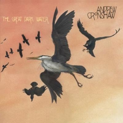 The Great Dark Water - Andrew Cronshaw, CD