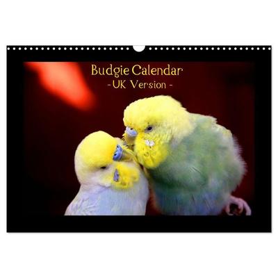 Budgie Calendar - UK Version (Wall Calendar 2027 DIN A3 landscape), CALVENDO 12 Month Wall Calendar