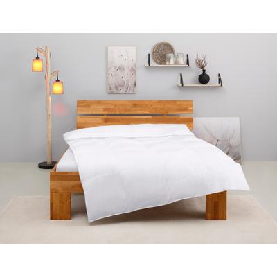 Kunstfaserbettdecke OTTO HOME "Taylore, Bettdecke 135x200, 155x220 cm", weiß, B:155cm L:220cm, Bezug: 100% Baumwolle. Füllung: 100% Polyester, Bettdecken, Bettdecken, Sommer, Winter, 4 Jahreszeiten, Decke