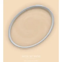 The Color Kitchen A.S. Création - Wandfarbe Beige "Muscat Wine" 2,5L