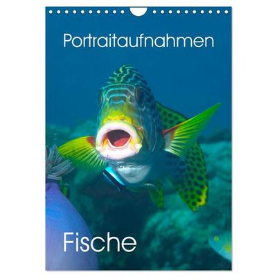 Portraitaufnahmen - Fische (Wandkalender 2026 DIN A4 hoch), CALVENDO Monatskalender
