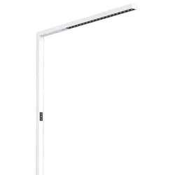 Siteco 51MY52FA4CW Silica 31 FloorStehleuchte,LED,10.600lm840, PIR-Bewegungssensor,direkt/indirekt,unmontiert