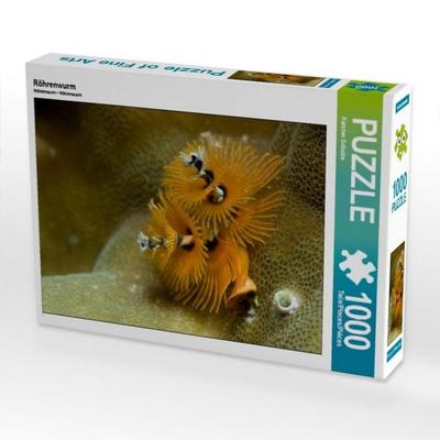 CALVENDO Puzzle Röhrenwurm 1000 Teile Puzzle quer | 1000 Teile Lege-Größe 64 × 48 cm Foto-Puzzle für glückliche Stunden