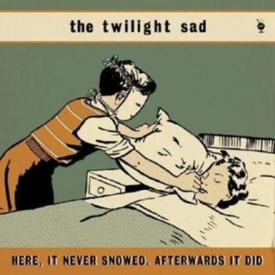 14 Autumns & 15 Winters - The Twilight Sad, Vinyl