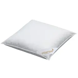 SPESSARTTRAUM 3-Kammer-Kissen hydrophobe Daune Q-llektion Baumwollbezug