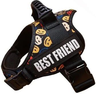 Inspire Essentials SecureFit Personalized Dog Harness 11 s
