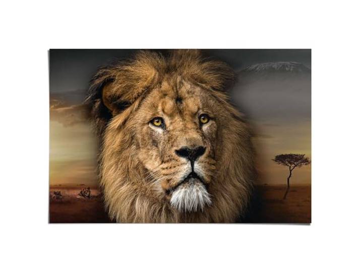REINDERS Poster, Löwenkopf, Schlafzimmer, Poster, Wanddeko, Room Decor, Bilderdruckpapier, Beige, 61 x 91,5