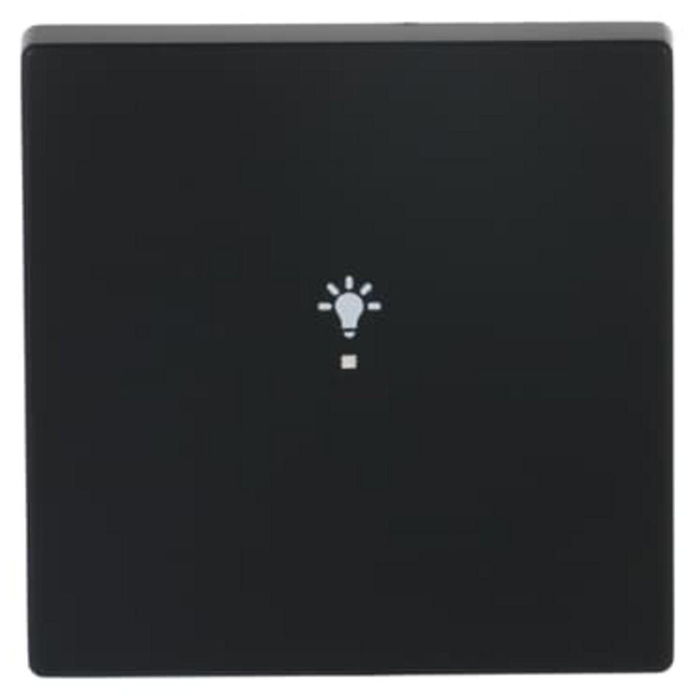 Busch-Jaeger 6231-10-885 montageplaat, zwart mat, thermoplast, zonder schroeven