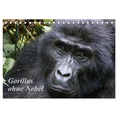 Gorillas ohne Nebel (Tischkalender 2027 DIN A5 quer), CALVENDO Monatskalender
